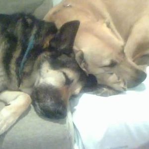 Meet your Posher, Kathy